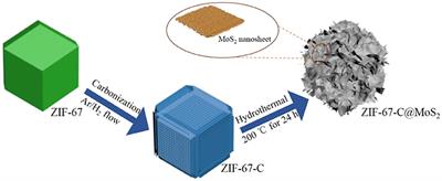 Engineering MoS2 Nanosheets Anchored on Metal Organic Frameworks Derived Carbon Polyhedra for Superior Lithium and Potassium Storage